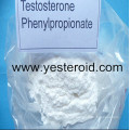 Gesundes rohes Steroid-Pulver Testosteron Phenylpropionate 1255-49-8